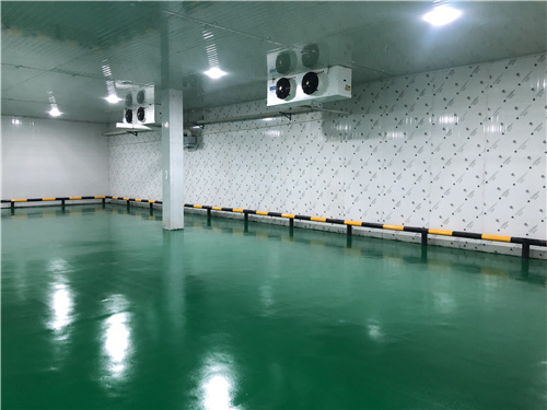 博鱼官方网站（China）在线/注册/登陆/官网蔬菜保鲜库